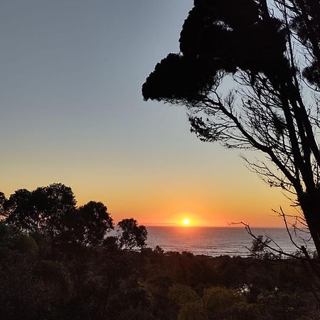 Coracao Da Terra Praia Do Rosa Dış mekan fotoğraf